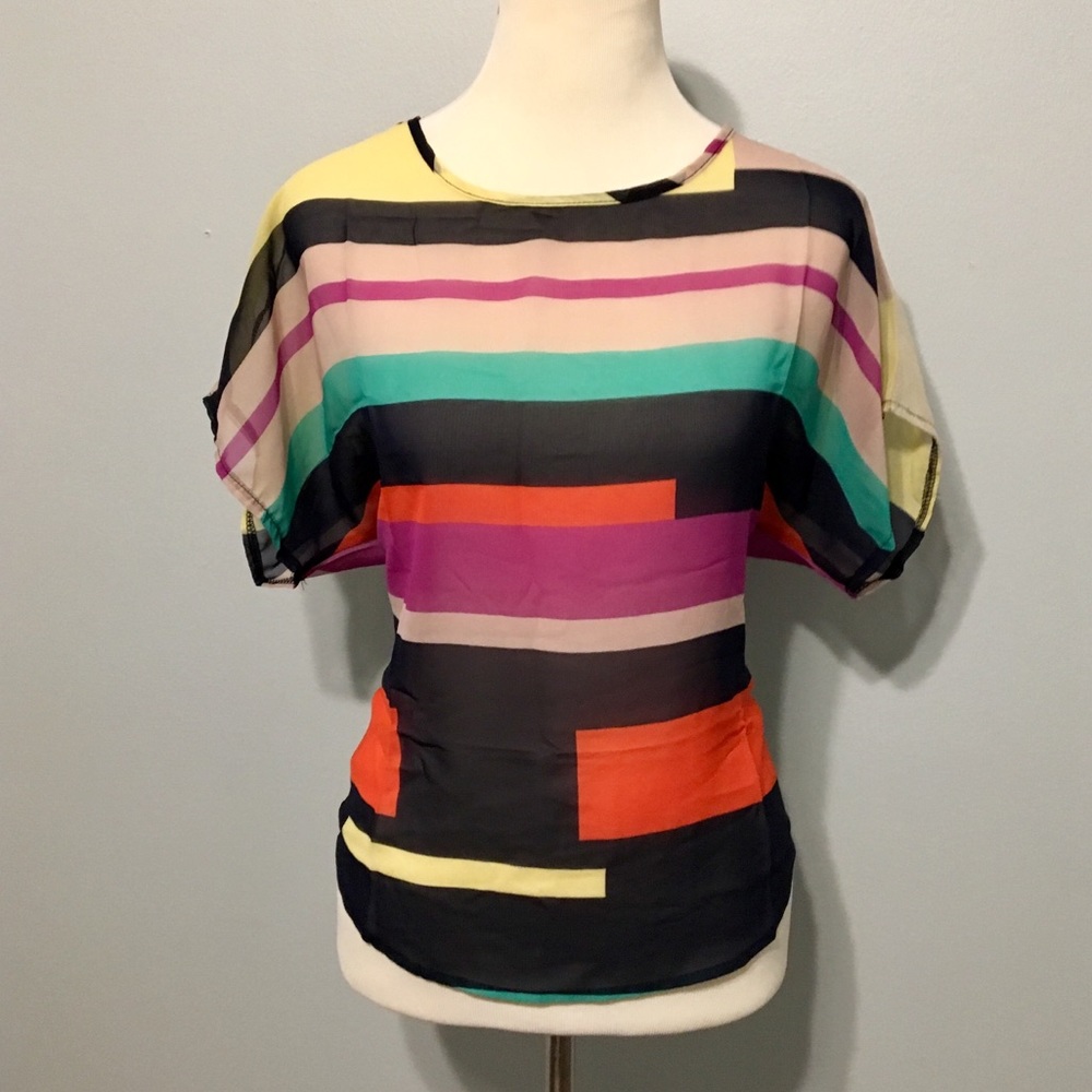 Sheer Color Block Blouse